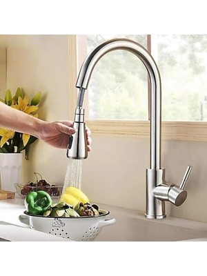 Delixa Fleko Sıcak Soğuk Su Girişli Spiral Başlıklı Mutfak Eviye Bataryası (Inox(Gümüş))