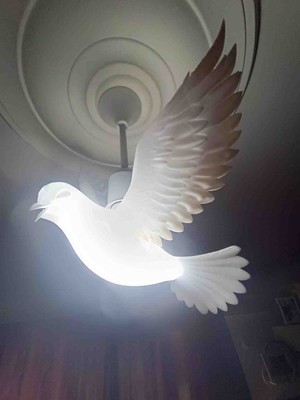 Kamer Güvercin Avize