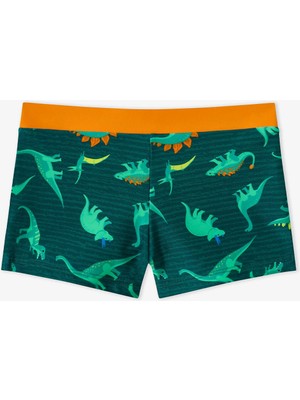 Penti Renkli Erkek Çocuk Dino Energy Trunk Mayo