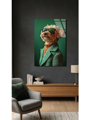 Yeşil Ceketli ve Gözlüklü Poodle Terrier Cam Tablo Uv Baskılı 4mm Kırılmaz, Ev Ofis Dekorasyonu