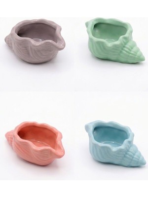 Zisayt Pastel Renkli Dekoratif Istiridye Deniz Kabuğu Objeler (4’lü Set), Takı Tabağı & Sabunluk