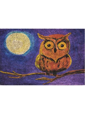 Delixa Tasarımlı Dekoratif Kapı Önü Paspas, Dış Mekan/ev Içi//mutfak/yatak Odası/giriş Paspasları ( Baykuş,