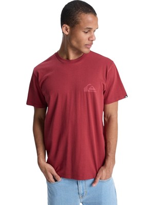 Belirtilmemiş Quiksilver Ev Mini Logo Erkek Kırmızı Tişört