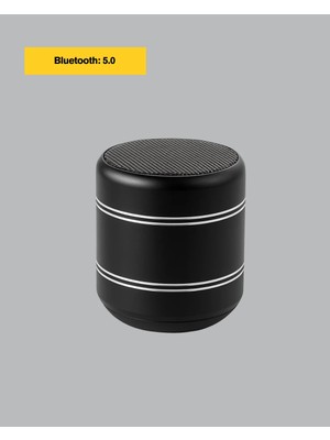 Najmaddin Mini Alüminyum Bluetooth Hoparlör Yüksek Bas Performansı -Com