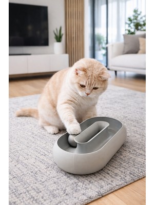Toplu Oval Evcil Hayvan Kedi Oyuncağı, Kedi Zeka Oyunu