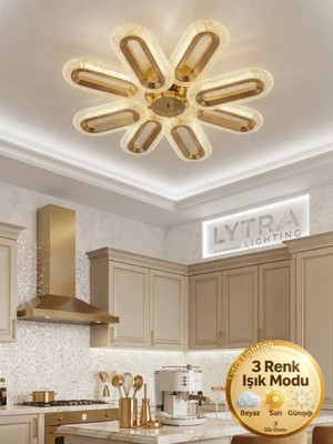 Lytra Lighting Eclipse Model 8'li Gümüş 3 Renk Modu Ledli Tavana Sıfır Salon Mutfak Çocuk Yatak Odası LED Avize