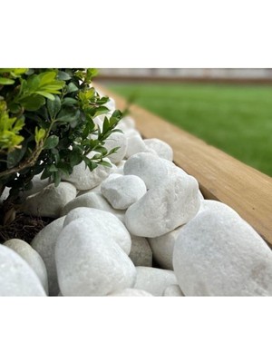 Dolomit Taş 10 kg 6-10 cm Beyaz Dolomit Taş Saksı Dibi Dekoratif Taş Bahçe Süsleme Taşı Peyzaj Taşı