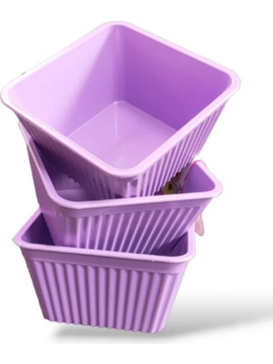 Najmaddin 3'lü Kare Çerezlik ROYALEKS-540 Tedarik Najmaddin