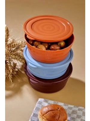 Najmaddin Harmony Kapaklı Yonca Kase 3'lü ROYALEKS-HT-002 Tedarik Najmaddin