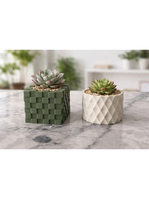 Sukulent Kaktüs Vazo Seti Yeşil Küp ve Kemik Beyazı Rengi Dekoratif Saksı 2’li Minimal Tasarım
