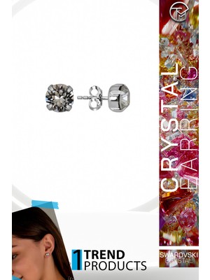 Swarovski Crystal Kadın Ss Tırnaklı Çivili Gümüş Küpe