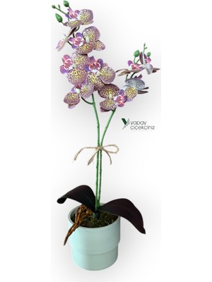 Yapay Çiçekçiniz Modern Tasarım Beyaz Renkli Saksıda 2 Dallı Yapay Islak Orkide 50 cm