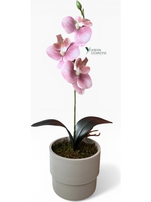 Yapay Çiçekçiniz Modern Beyaz Saksıda 35 cm Yapay Orkide Islak Dokulu