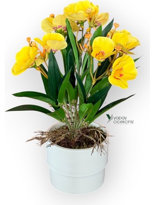 Yapay Çiçekçiniz Modern Beyaz Saksıda 30 cm Yapay Kelebek Orkide Islak Dokulu