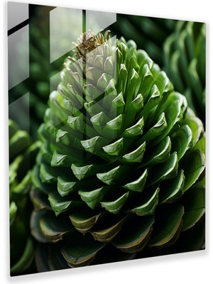 Popcasso Yeşil Çam Doğal Güzellik Temperli Cam Tablo - Çam Kozalağı Motifi ile Modern Tasarım