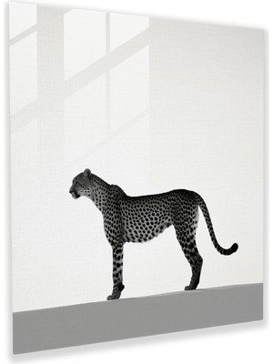 Popcasso Leopar Temalı Cam Tablo - Silüet Tasarım Cam Duvar Tablosu