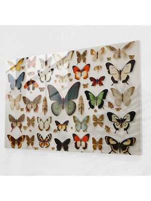 Popcasso Kurutulmuş Kelebekler Temperli Cam Tablo - Benzersiz Duvar Decorasyonu