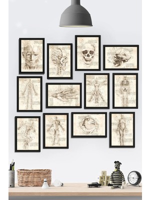 Tontilika Çerçeve Görünümlü Insan Anatomisi Temalı Mdf Tablo Seti (80X80 Cm) 12 Parça