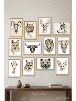 Tontilika 12 Parça Wild Animals Illüstrasyon 2 Renk Seçenekli Çerçeve Görünümlü Tablo Seti