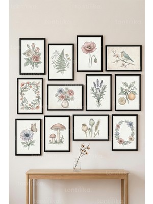 Tontilika 12 Parça Klasik Bitki ve Çiçek Illüstrasyon 2 Renk Seçenekli Dekoratif Çerçeve Görünümlü Tablo Seti
