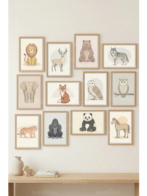 Tontilika 12 Parça Hayvan Illüstrasyonları 2 Renk Seçenekli Dekoratif Çerçeve Görünümlü Tablo Seti