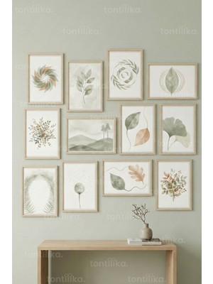 Tontilika 12 Parça Doğal Botanik 2 Renk Seçenekli Dekoratif Çerçeve Görünümlü Tablo Seti