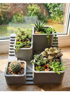 3D Baskı Kaktüs Saksı Seti Çok Bölmeli Modern Dekoratif Masaüstü Bitki Düzenleyici Nemere
