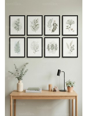 Tontilika 8 Parça Soft Yeşil Botanik Minimal Dekoratif Çerçeve Görünümlü Tablo Seti - Bitki ve Çiçek Tema