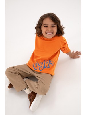 U.S. Polo Assn. Erkek Çocuk Bakır Bisiklet Yaka Basic Sweatshirt 50313979-VR182