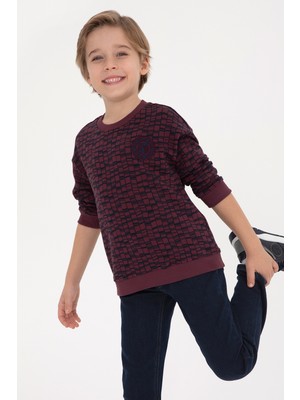 U.S. Polo Assn. Erkek Çocuk Bordo Bisiklet Yaka Sweatshirt 50308599-VR177