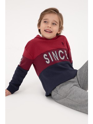 U.S. Polo Assn. Erkek Çocuk Açık Lacivert Kapüşonlu Sweatshirt 50316551-VR059