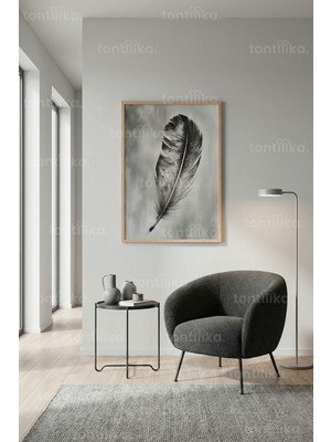 Tontilika Minimal Tüy Illüstrasyonu Dekoratif Ahşap Çerçeveli Tablo – Illistrasyon Tema