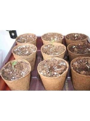 MarkEntegra Beşli Çimlendirme Saksısı - Bitki Yetiştirme Için Uygun