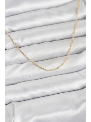 Pileli Store Pilelistore  cm 14K Gold Renk Burgu Model 60 cm Kadın Kolye