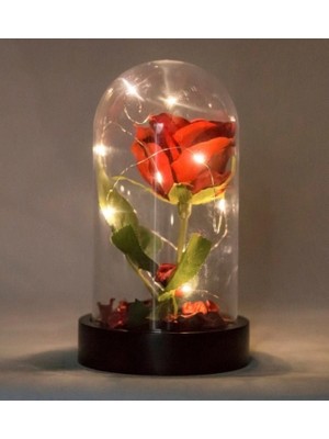 Pileli Store Fanusta LED Işıklı Kırmızı Gül ve Mini Ayıcık Set Sevgiliye Hediye 01A