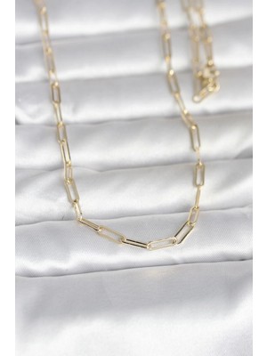 Pileli Store Pilelistore  cm 14K Gold Renk Ataç Zincirli Model 60 cm Kadın Kolye