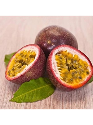 MarkEntegra Düz Ağız Çim Kesme Makası, 550 mm Kesim Uzunluğu ile