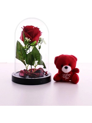 Pileli Store Fanusta LED Işıklı Kırmızı Gül ve Kırmızı Mini Ayıcık Set Sevgiliye Hediye 01W