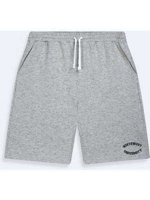 LTB Varsity Baskılı Örme Gri Şort