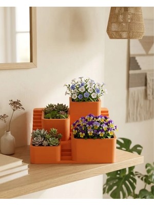 Renas Store 3D Çok Bölmeli Kaktüs Saksı Seti Dekoratif Masaüstü Sukulent Standı