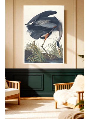 Mushen Studio Büyük Mavi Balıkçıl Kuşu Vintage Kanvas Tablo Solvent Baskı Doğa Sanatı Duvar Dekoru