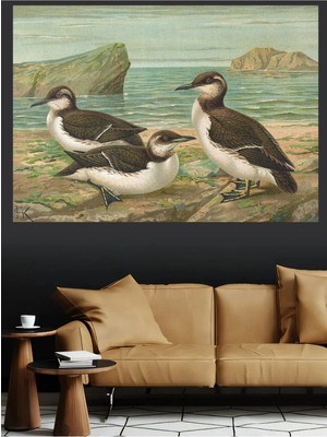 Mushen Studio Deniz Kuşları Natürmort Kanvas Tablo Klasik Duvar Dekoru Sanat Eseri Çerçevesiz Ev