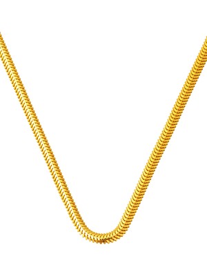 Bilezikci 45 cm. 22 Ayar Altın Balıksırtı Zincir
