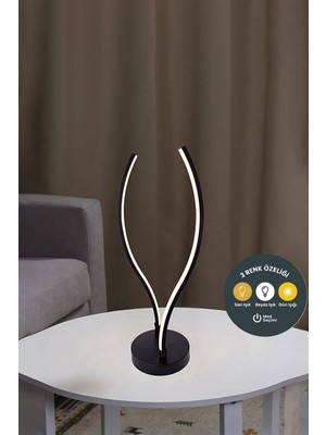 Lzy Avize Store Cup 2'lü Çubuk LED Lambeder Siyah 3 Renkli-Modern Dekoratif Yerden Aydınlama