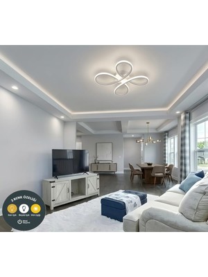 Lzy Avize Store Daisy Plafonyer 4’lü Beyaz Avize 3 Renkli – Modern Salon, Mutfak, Çocuk Odası, Antre Aydınlatma