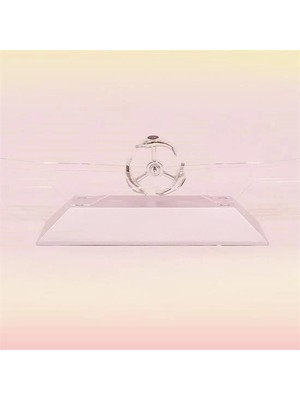 İlanib Ticaret Dekoratif Masa Üstü Obje Manyetik Kinetik Orbital Dönen Yunuslar