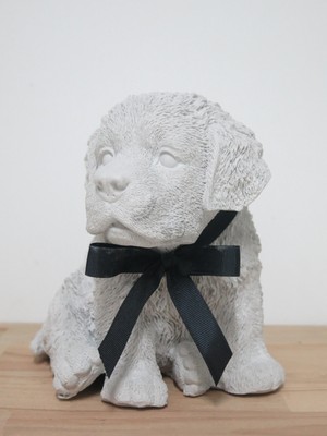 Missi Black Vani̇lya Kokulu Gri̇ Köpek Bi̇blo