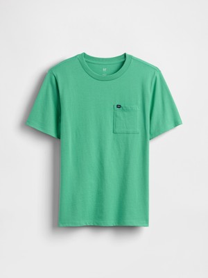 Gap Erkek Çocuk Yeşil Pocket T-Shirt
