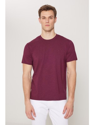 Altınyıldız Classics Slim Fit Dar Kesim Bisiklet Yaka Pamuklu Kısa Kollu Tişört