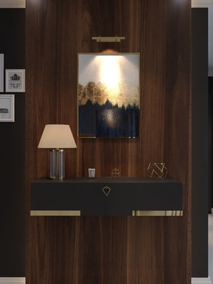 Feyza Design Şık ve Parlak Antrasit Renkli Karnaval Dresuar, Modern Tasarım